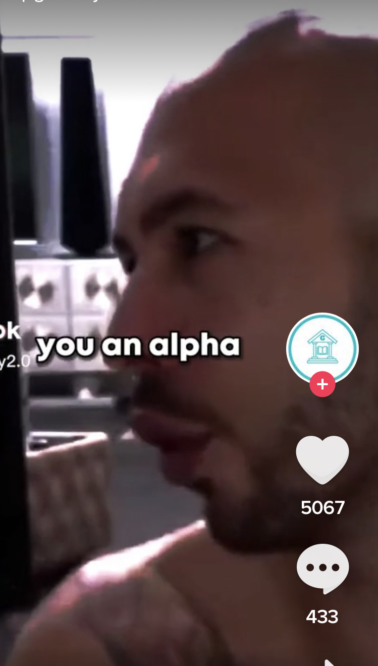 86D73584 FD14 43A9 86F0 5286FDC88BCE