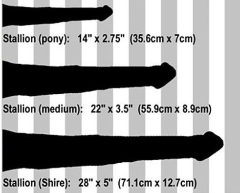 Screenshot 2022 12 25 at 12 03 44 AVERAGE HORSE DICK   Ricerca Google