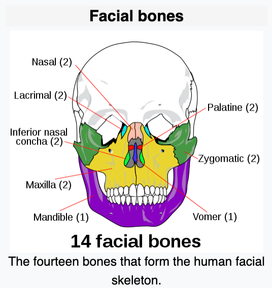 Screen Shot 2022 12 26 at 41808 PM