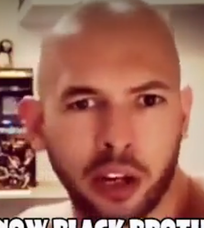 Whiteboi