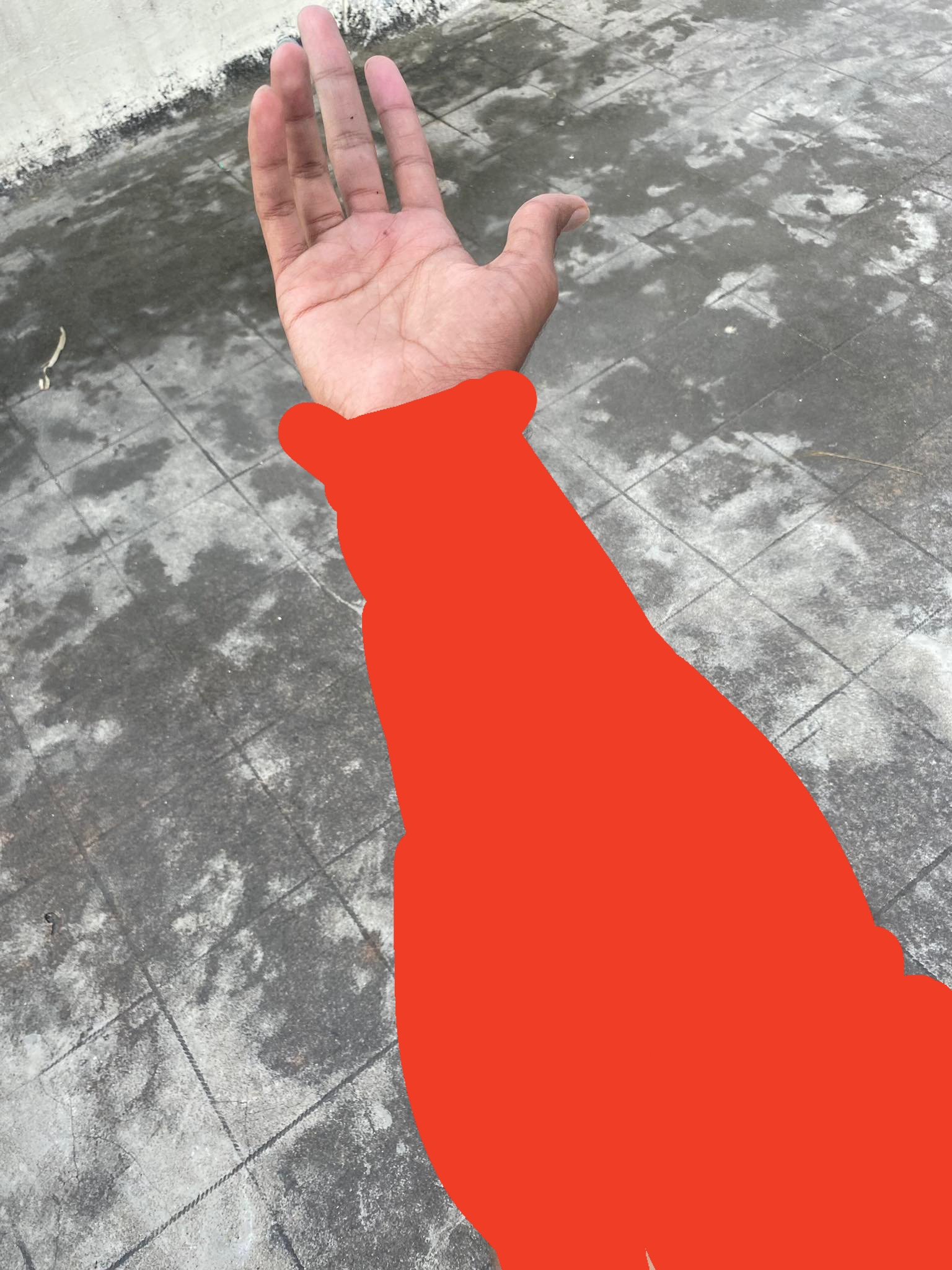 823CADFE F1CF 4EBC BA8B 8F4E81F01A51