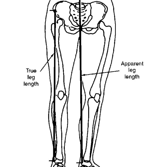 60113D29 5934 4B9E AFC8 FC73BDDE379C