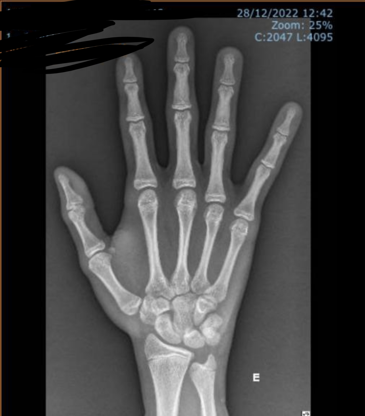 F1CFE242 2D32 4C0B A769 1A2576320B8A