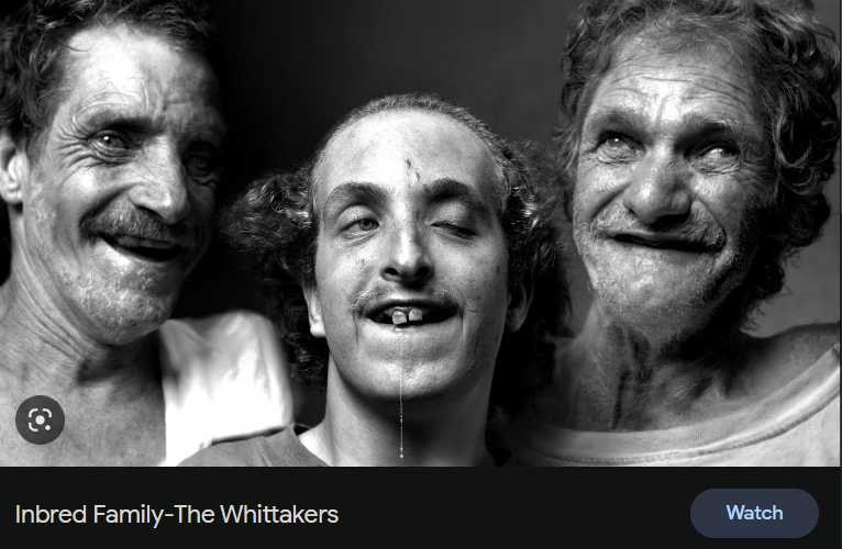 1672444955696