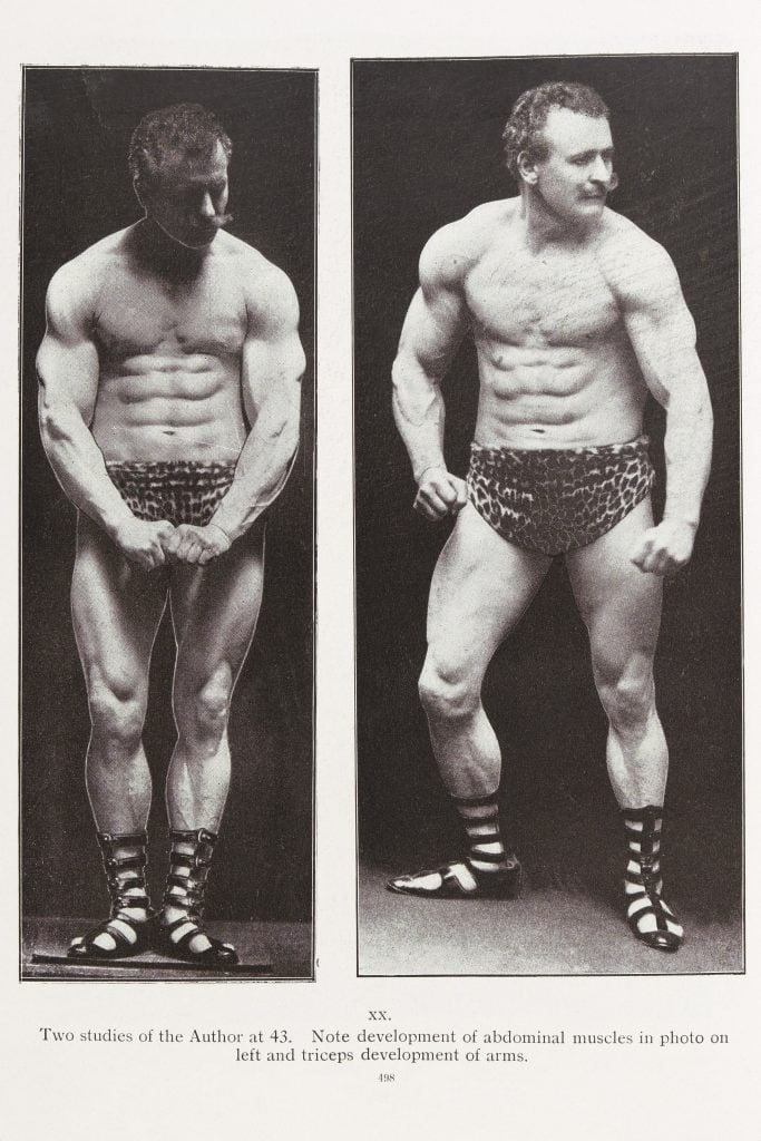 Sandow 4 683x1024