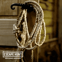 image (2).gif