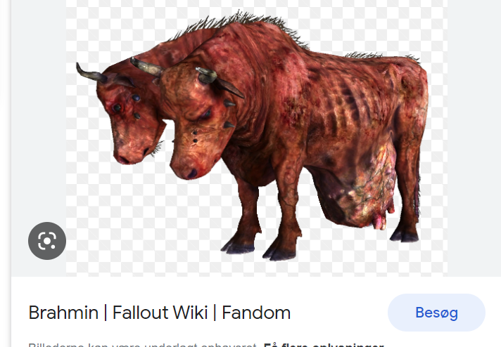 brahmin.png