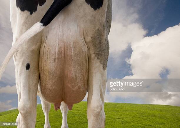gettyimages-83001496-612x612.jpg