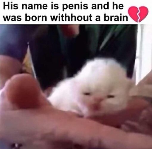 Penis.jpg