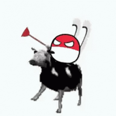 24589