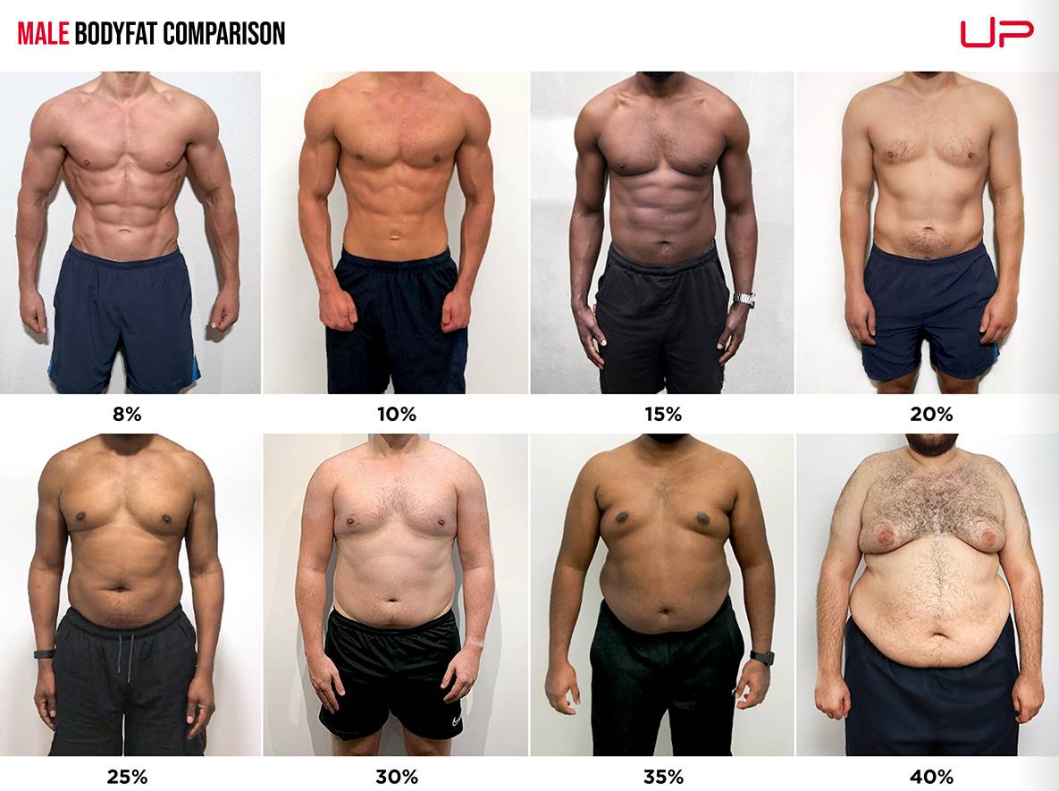 What Body Fat Percentages Actually Look Like - Kubex Fitness