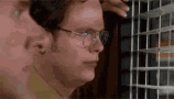 The office dwight schrute