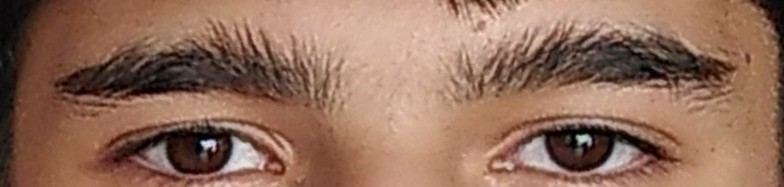 IMG 20200927 1516583