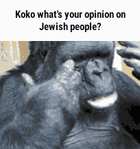 3238782 ezgif 3 514ae34a53