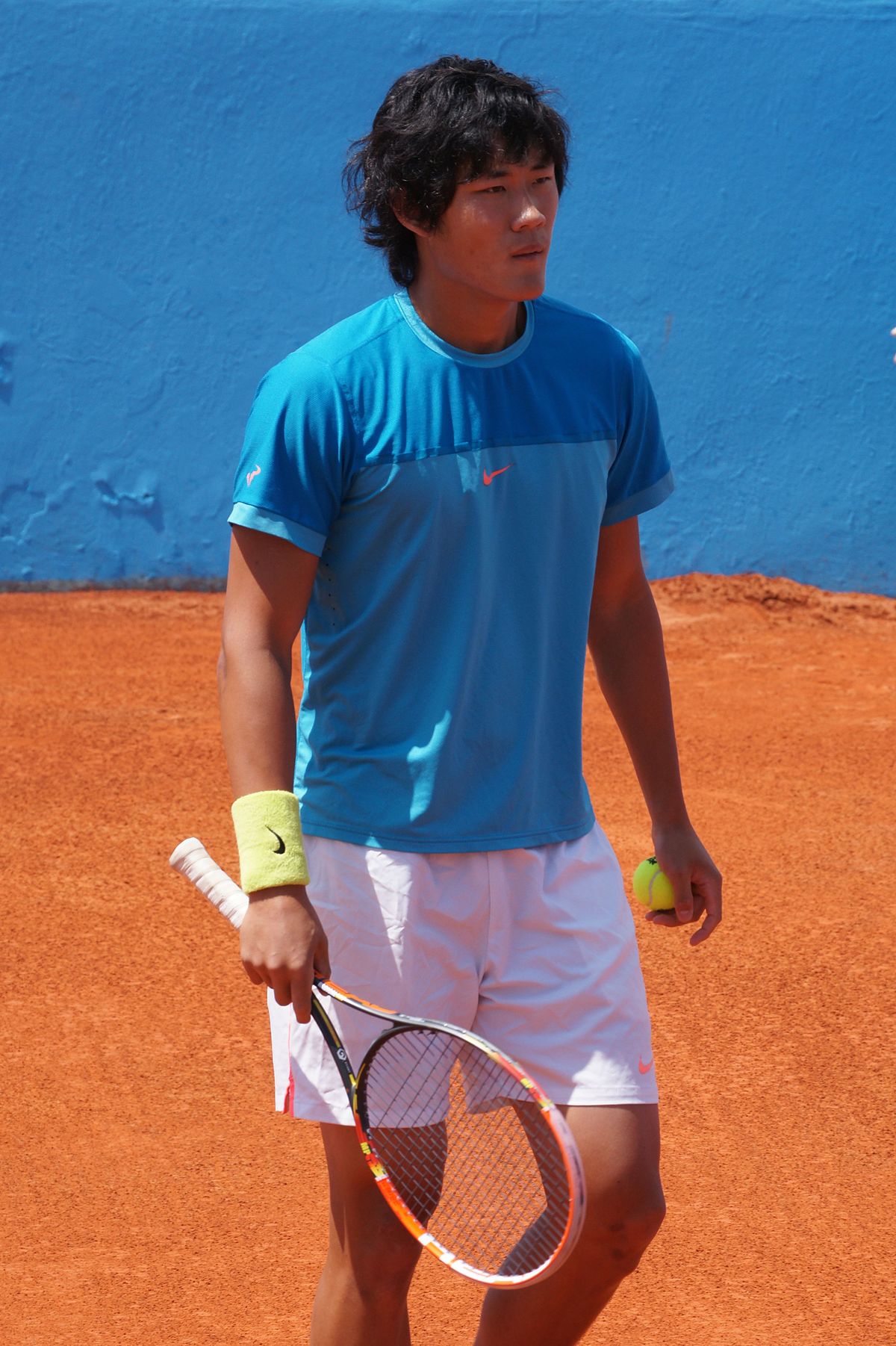 Zhizhen Zhang Nice 2016