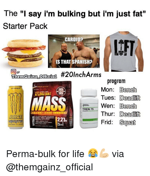 The i say im bulking but im just fat starter 3679925