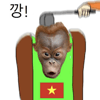Icon 22