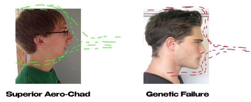 660B38C5 40E9 4CD8 B5E9 C2CC499C1ACF