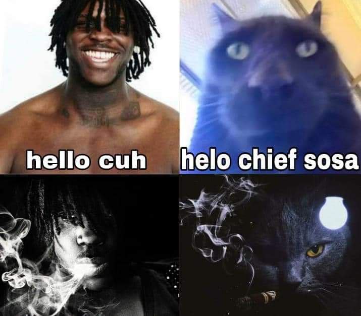 20230113 112342