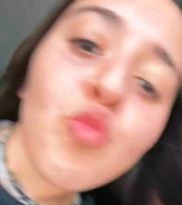Skrmbild 36