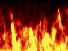5BFD0204 88B8 40EA A6E1 0414E45EF6BF