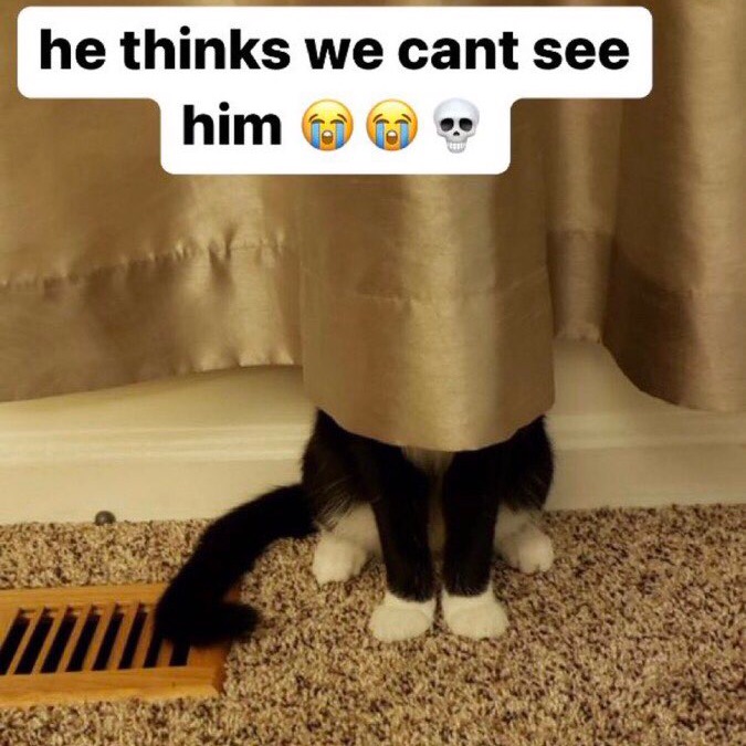 B07D8E7D 28CC 4F7F 8C48 0CE0B2030484