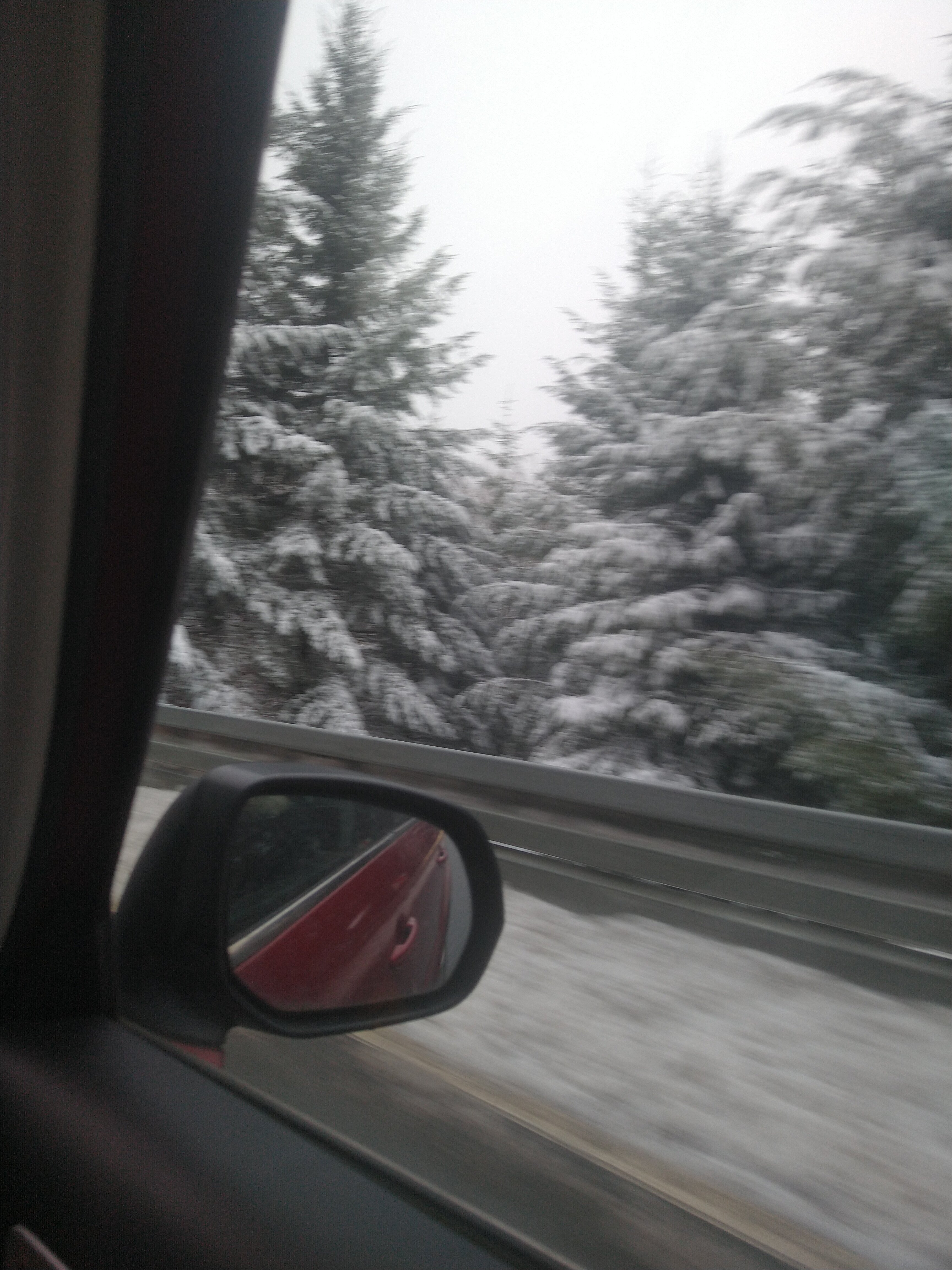IMG 20230122 133555555