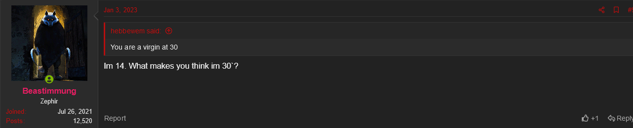 Screenshot 2023 01 22 at 23 37 15 Recommand forums where you discuss prostitutes