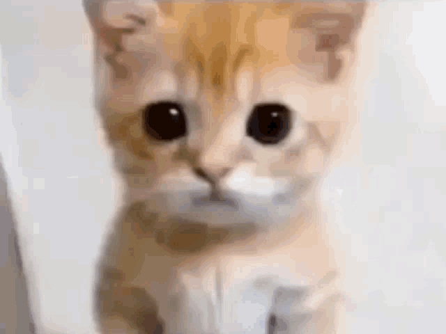 1674765933136