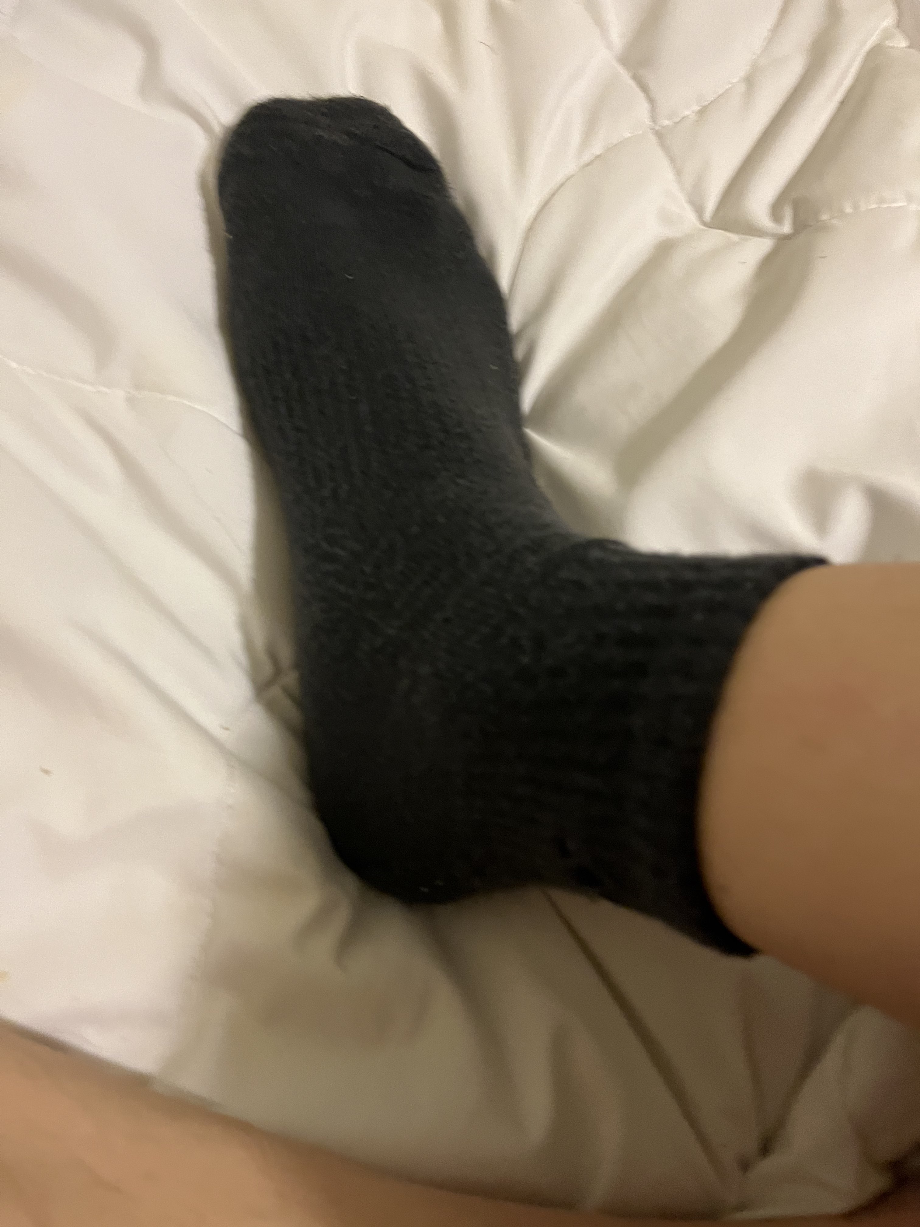 IMG 0633