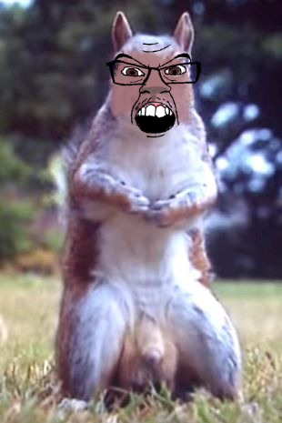 15775 animal full body glasses irl background mustache nsfw penis soyjak squirrel variant fera