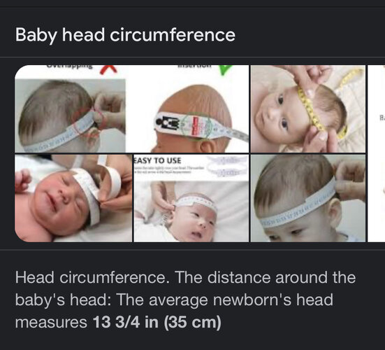 C81C11F8-0C6B-4C7A-BC94-B7118F777E20.jpeg