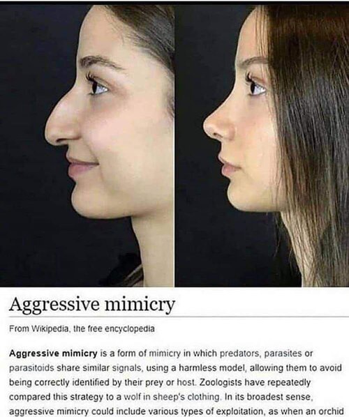1673384611215574.jpg