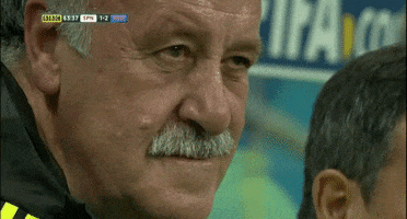 Scolari xd