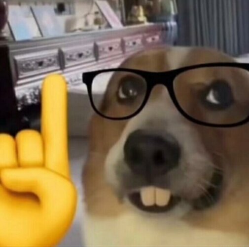 Nerd Dog 1