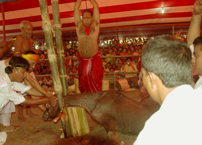 Immolation_Sacrifice,_Mouh_Boli,_Durga_Puja.jpg