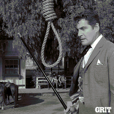 3232690_Rope.gif