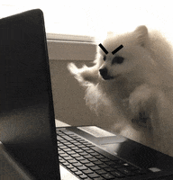 F83C5E9B-DDA1-4531-BF96-12FA2D5E07A9.gif