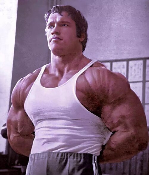 Schwarzeneggerboss 327615229 143752321564018 7092620661552030664 n