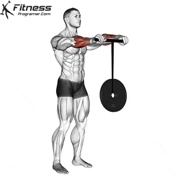 Wrist roller