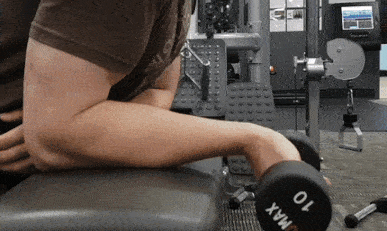Dumbbell wrist curl