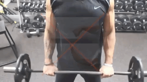 Reverse curls
