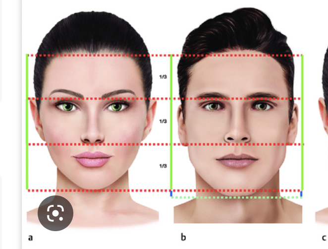 Screen Shot 2023 02 08 at 10407 AM