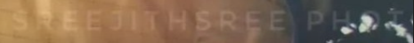Sreejinth