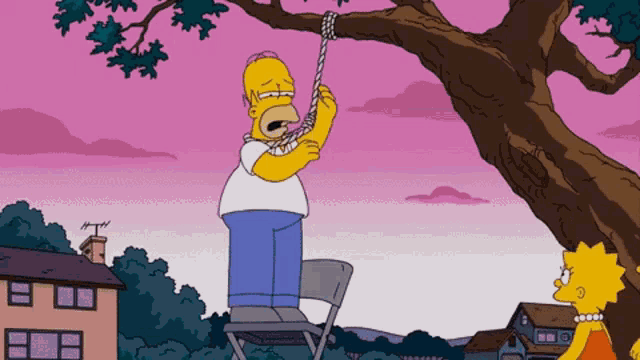 3188594 homer hang