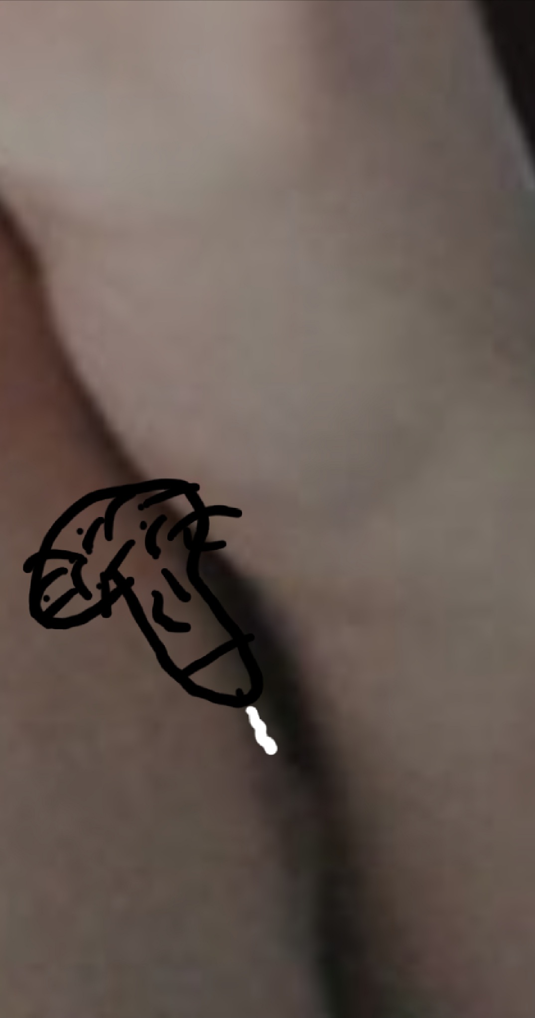 Booob