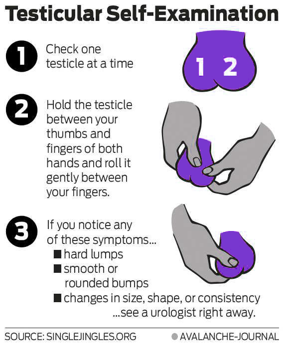 Infographictestes