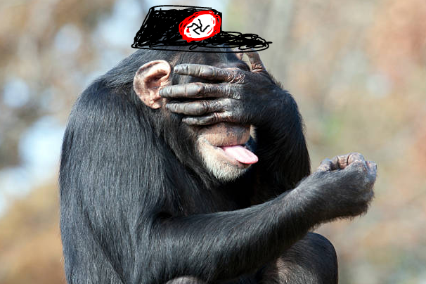Monkzi