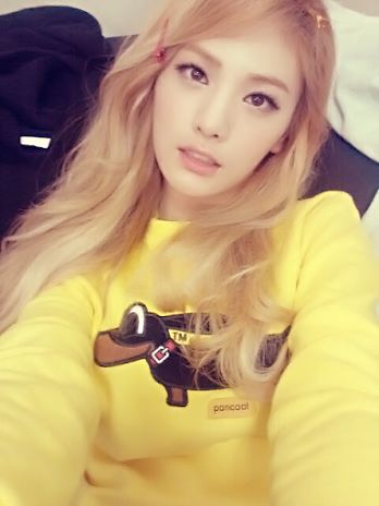 1bb6afa920b4923c4480840e61792fff