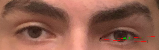 1676870315374